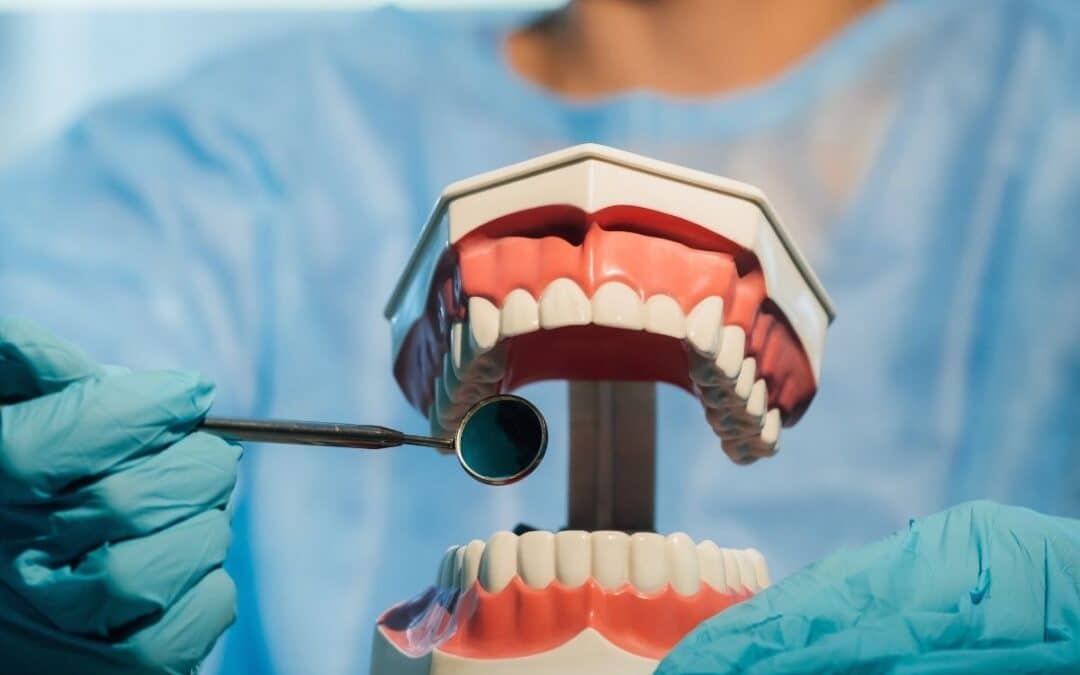 An oral surgeon in blue gloves holds a dental mirror to a model of teeth and gums